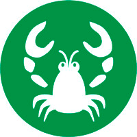 Lobster DATA GmbH logo