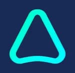 Anyone AI logo