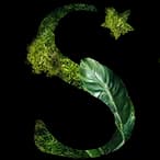 Shhotelsandresorts logo